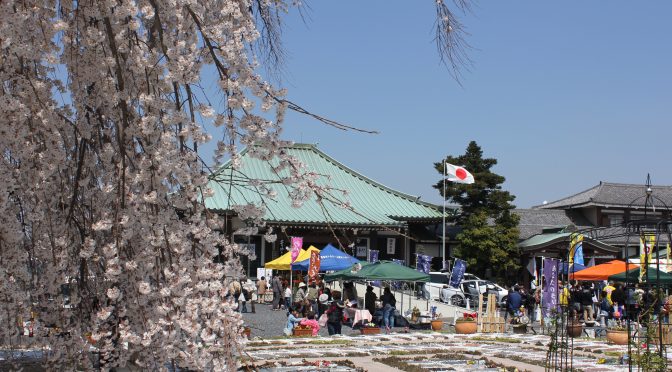 洞泉寺さくらまつり・楽市楽座